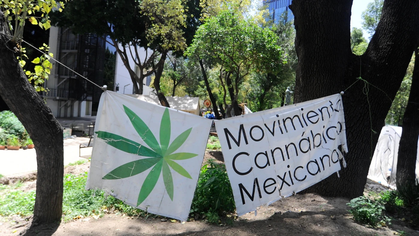 Mexico: Supreme Court Approves Low-THC Cannabis Production