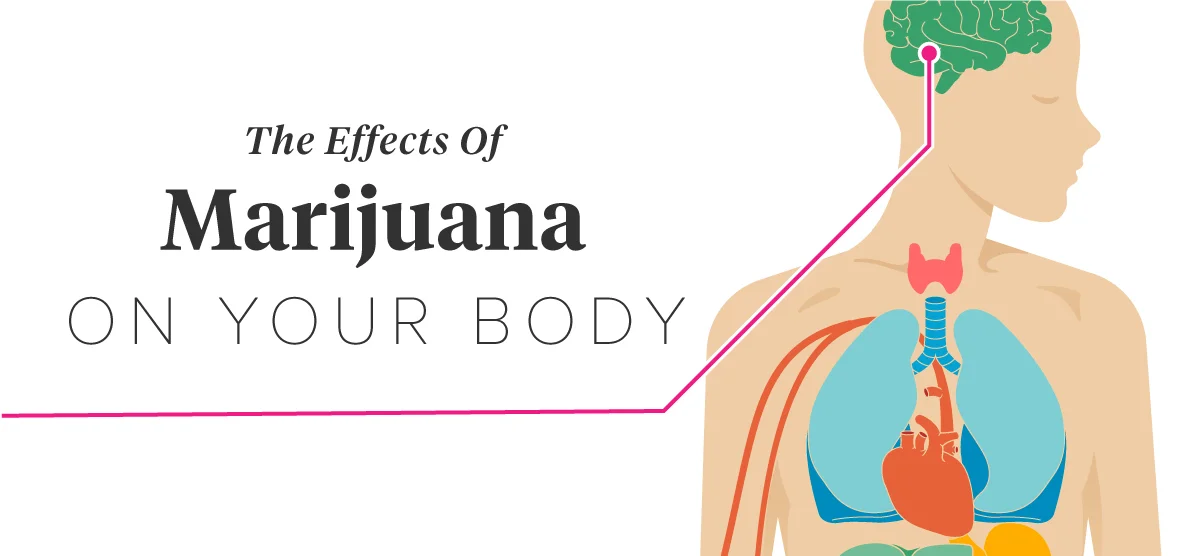 What Does Marijuana Do To Your Immune System?