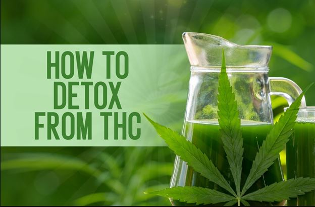 The Best Detox Kits and Detox Drinks to Pass a Drug Test