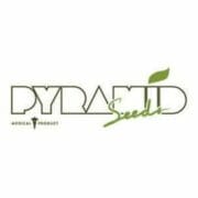 Cannabis Coupon For 1X OR 2X FREE PACKS W/ PYRAMID SEEDS