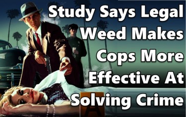 marijuana helps solve crime cases legalization