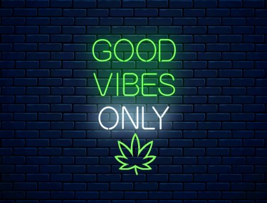 WHAT IS THE VIBE OF CANNABIS