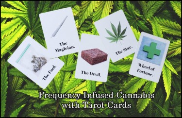 FRQUENCY INFUSED CANNABIS 